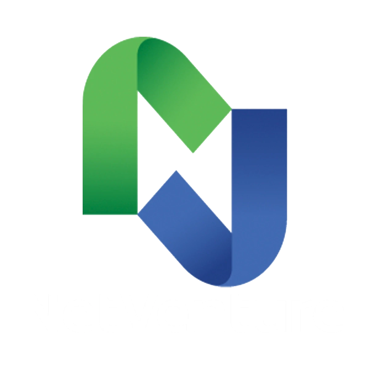 NetVenture